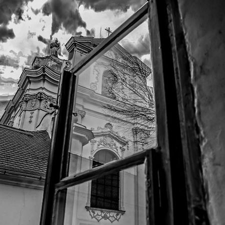 Penzion U Borovičků Litoměřice Esterno foto