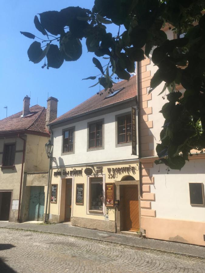 Penzion U Borovičků Litoměřice Esterno foto