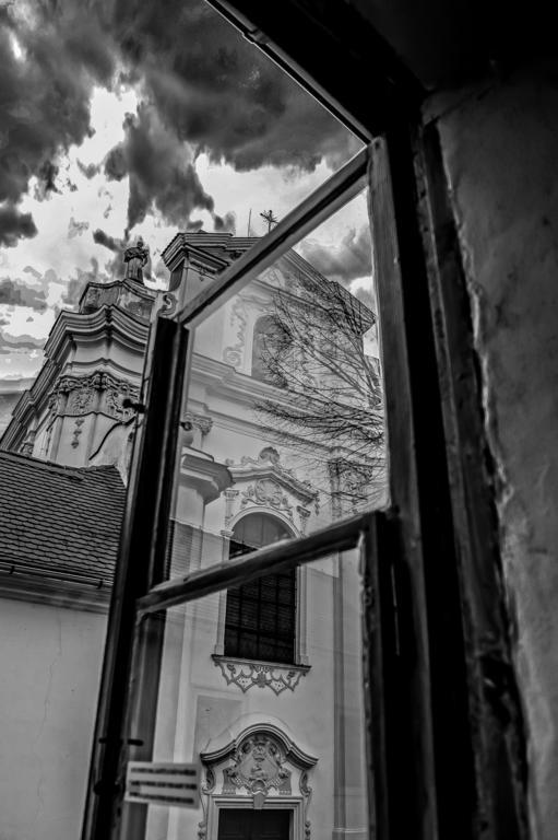 Penzion U Borovičků Litoměřice Esterno foto