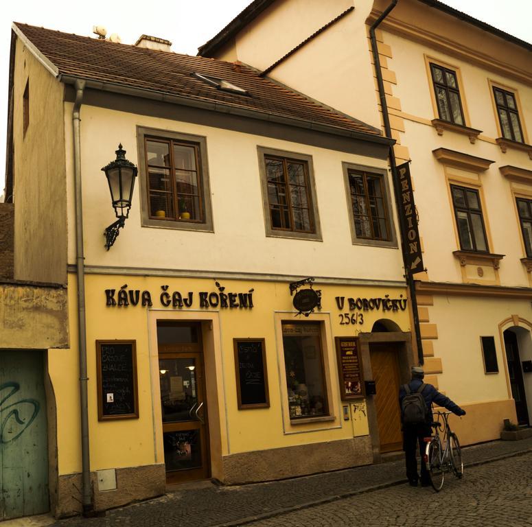 Penzion U Borovičků Litoměřice Esterno foto