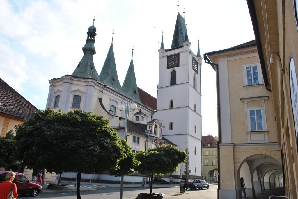 Penzion U Borovičků Litoměřice Esterno foto