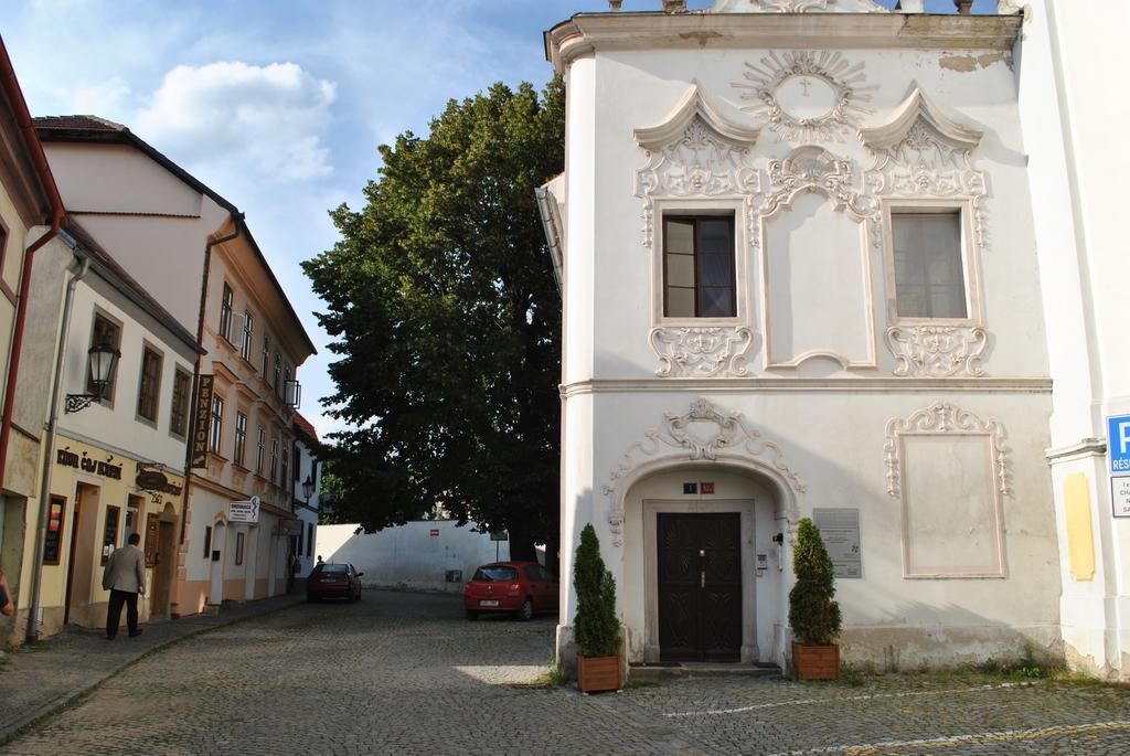 Penzion U Borovičků Litoměřice Esterno foto
