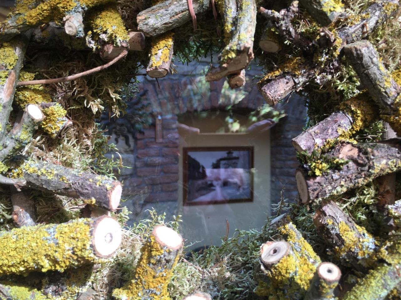 Penzion U Borovičků Litoměřice Esterno foto