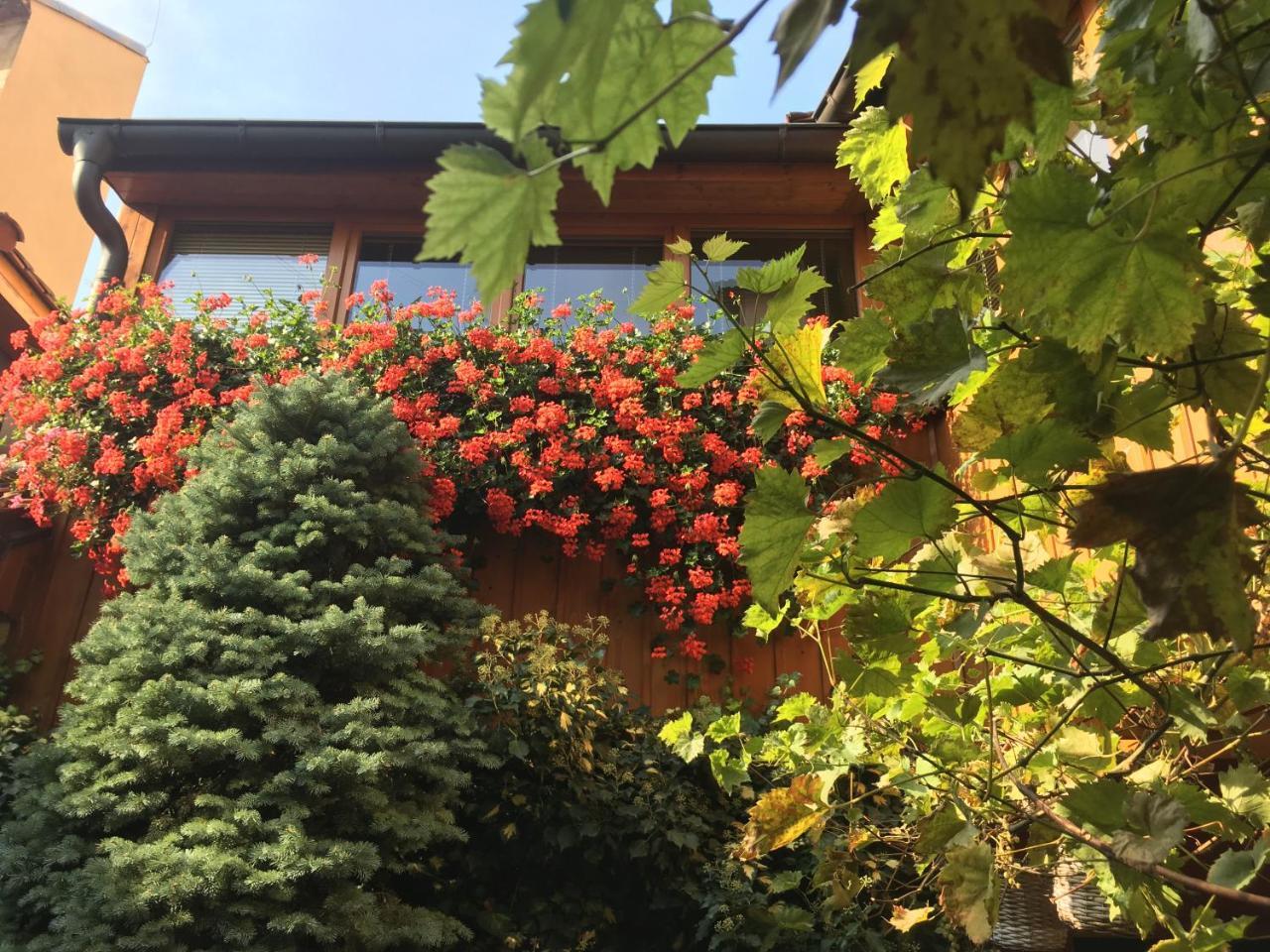 Penzion U Borovičků Litoměřice Esterno foto